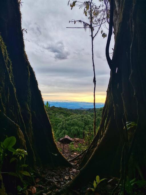 MonteverdeCasa Del Arbol别墅 外观 照片