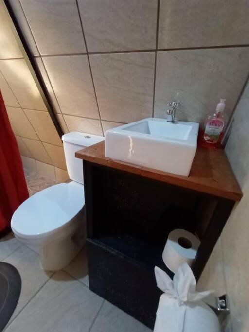 MonteverdeCasa Del Arbol别墅 外观 照片